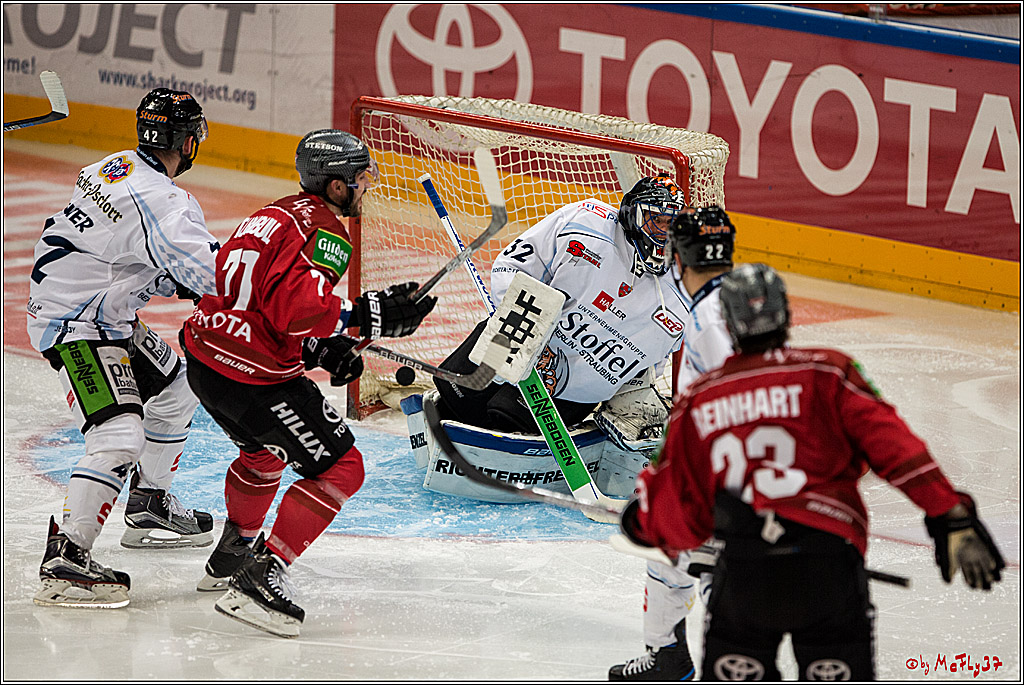 Koelner Haie - Straubing Tigers, 03.10.2016
